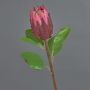 Dekoblume Protea AZHEN, violett-rosa, 65cm, Ø9cm