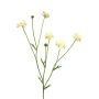 Dekozweig Flockenblume TAOTAO, creme, 65cm