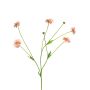 Dekozweig Flockenblume TAOTAO, rosa, 65cm