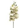 Kunstzweig Phalaenopsis Orchidee SONGYA, weiß, 75cm
