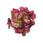Dekoblume Hortensie FUHUA, rot-grün, 23cm, Ø14cm