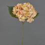 Kunstblume Hortensie QILIN, hellgelb-pfirsich, 35cm, Ø15cm