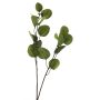 Deko Zweig Eukalyptus AOSHAN, grün, 80cm