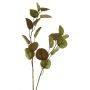 Deko Zweig Eukalyptus AOSHAN, braun-grün, 80cm