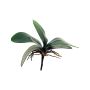 Kunstblätter Phalaenopsis Orchidee XIAOQIN mit Luftwurzeln, 25cm