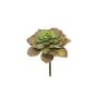 Kunst Echeveria morani XINYA auf Steckstab, rot-grün, 17cm