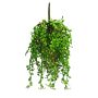 Kunststoff Senecio Hänger RUIAN auf Steckstab, grün, 25cm