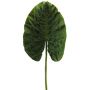 Deko Blatt Alocasia Odora HAOYUE, grün, 75cm