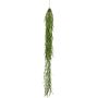 Deko Hänger Asparagus sprengeri LINGLI, grün, 95cm