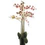 Kunstblume Phalaenopsis Orchidee CHENXU, rosa-creme, 110cm