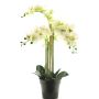 Kunstblume Phalaenopsis Orchidee CHENXU, weiß, 60cm