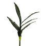 Deko Sukkulente Sansevieria SUNLIN auf Steckstab, grün, 60cm
