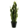 Kunst Sukkulente Sansevieria ANQING im Dekotopf, grün-gelb, 50cm