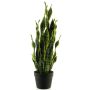 Kunst Sukkulente Sansevieria ANQING im Dekotopf, grün-gelb, 70cm