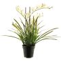 Kunstblume Cymbidum Orchidee XINGUI, creme-pink, 70cm