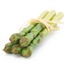 Künstlicher Grüner Spargel Bund ONRIE, 5 Stangen, 23cm, Ø5cm