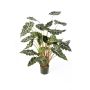 Künstliche Alocasia Sanderiana SHIVA, grün-weiß, 110cm