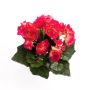 Künstliche Begonie IVANA auf Steckstab, pink, 20cm, Ø3-5cm