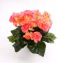 Künstliche Begonie IVANA auf Steckstab, rosa, 20cm, Ø3-5cm