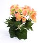 Künstliche Begonie IVANA auf Steckstab, pfirsich, 20cm, Ø3-5cm