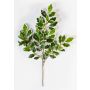 Künstlicher Ficus Benjamini Zweig AJITH, grün-weiß, 45cm