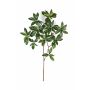 Künstlicher Spindelstrauch Zweig SACHIKO, grün-weiß, 55cm