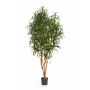 Künstliche Dracaena Reflexa Anita KAYLIN, Naturstämme, grün, 150cm