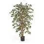 Ficus Benjamini künstlich AVELLINO, Echtstämme, grün-weiß, 120cm
