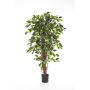 Künstlicher Ficus Benjamini JARLAN, Echtstämme, grün, 120cm