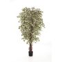 Kunstpflanze Ficus Benjamini DAKU, Naturstämme, grün-weiß, 90cm