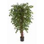 Kunstpflanze Ficus Benjamini DAKU, Naturstämme, grün, 120cm