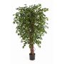 Kunstpflanze Ficus Benjamini DAKU, Naturstämme, grün, 150cm