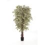 Kunstpflanze Ficus Benjamini DAKU, Naturstämme, grün-weiß, 210cm