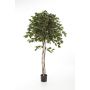 Künstlicher Ficus Benjamina KURO, Naturstämme, grün, 210cm