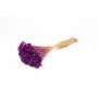 Trockenstrauß Mittelmeer-Strohblume AKALITI, lila, 40-55cm, Ø11cm