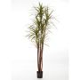 Kunststoff Dracaena Marginata IMANI, Echtstämme, grün, 150cm
