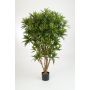 Kunst Dracaena Reflexa Jamaica AMELIA, Echtstämme, grün, 145cm