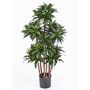 Kunst Dracaena Fragrans Compacta DOMINGO, Echtstämme, grün, 120cm