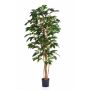 Künstlicher Kaffeebaum MOKA, Echtstämme, 150cm