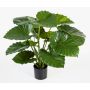 Künstliche Alocasia Calidora SALONI, grün, 75cm