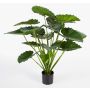 Künstliche Alocasia Calidora SALONI, grün, 95cm