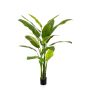 Kunstpflanze Heliconia VESA, 170cm