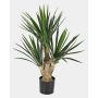 Kunstpflanze Yucca Palme gloriosa KEYLA, 70cm