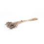 Getrocknetes Lagurus Gras BORKA, Bund, grau, 55-75cm, Ø12cm