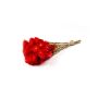 Getrockneter Strohblumenstrauß BIBIANA, rot, 35-45cm, Ø15cm