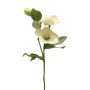 Dekozweig Schneerose SHIEN, gefroren, weiß, 55cm