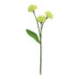 Dekoblume Grasnelke YISHU, hellgrün, 30cm
