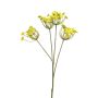 Dekozweig Dillblüten LITIAN, gelb, 70cm