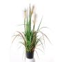 Schilfgras künstlich EYOTA mit Rispen, grün-braun, 80cm