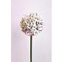 Allium künstlich LOKJAN, weiß-violett, 70cm